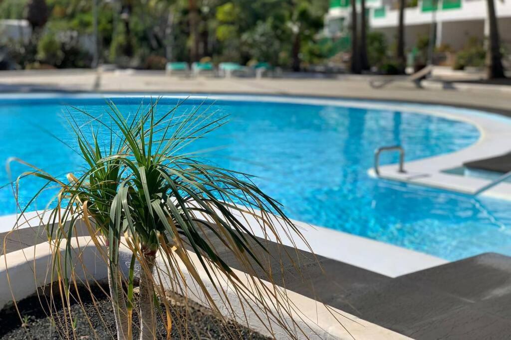 Apartamento Bastian Casas Verdes Costa Teguise Exterior foto